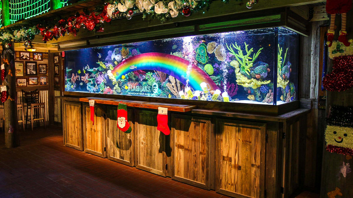 Tanked Again for the Holidays Tanked