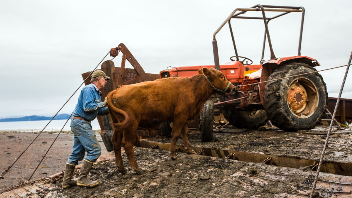 Journey To Perl Island Alaska The Last Frontier