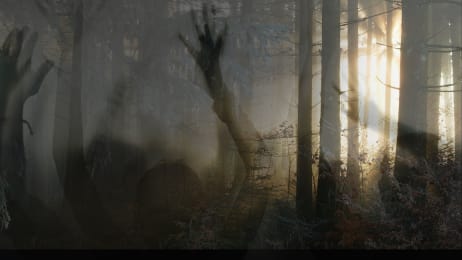 Destination America Shows Watch Now for FREE!