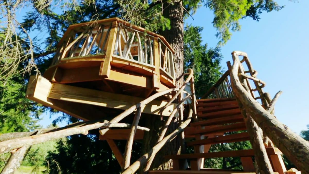 Workshop Edition | Treehouse Masters