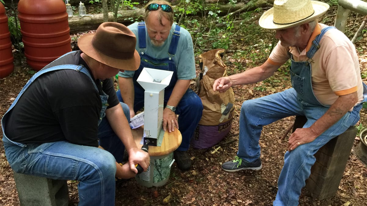 Rain or Shine | Moonshiners