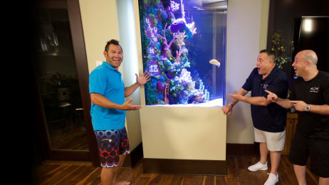 Tanked Watch Full Episodes More Animal Planet