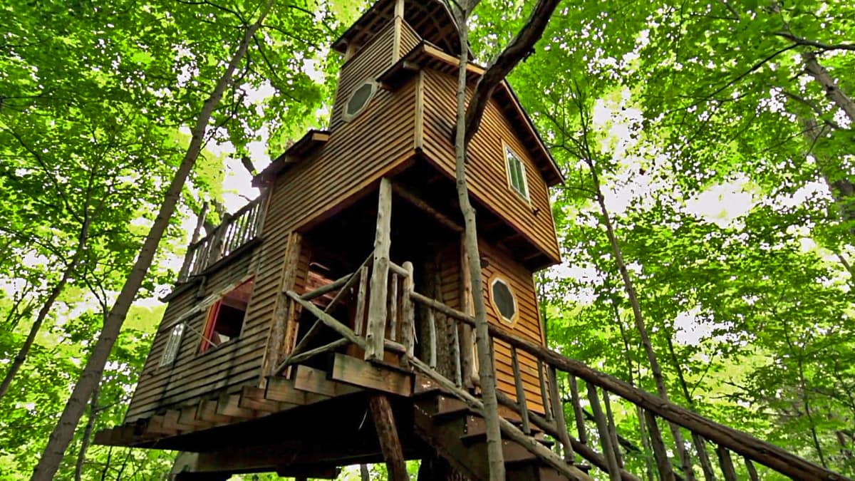 Ultimate Treehouses V Treehouse Masters