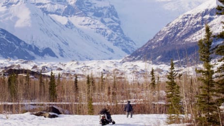 edge alaska discovery attack bear mccarthy fight