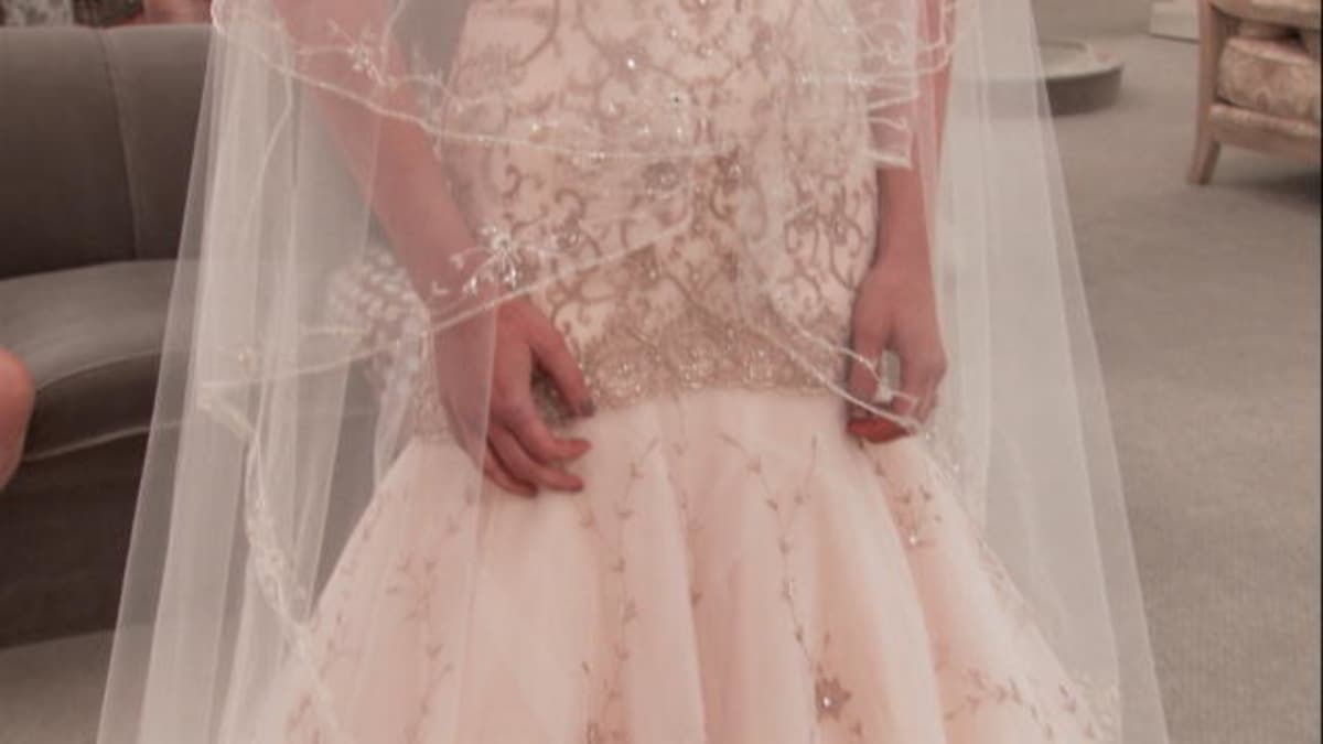 Blush Beaded Fit and Flare   Say Yes to the Dress   TLC