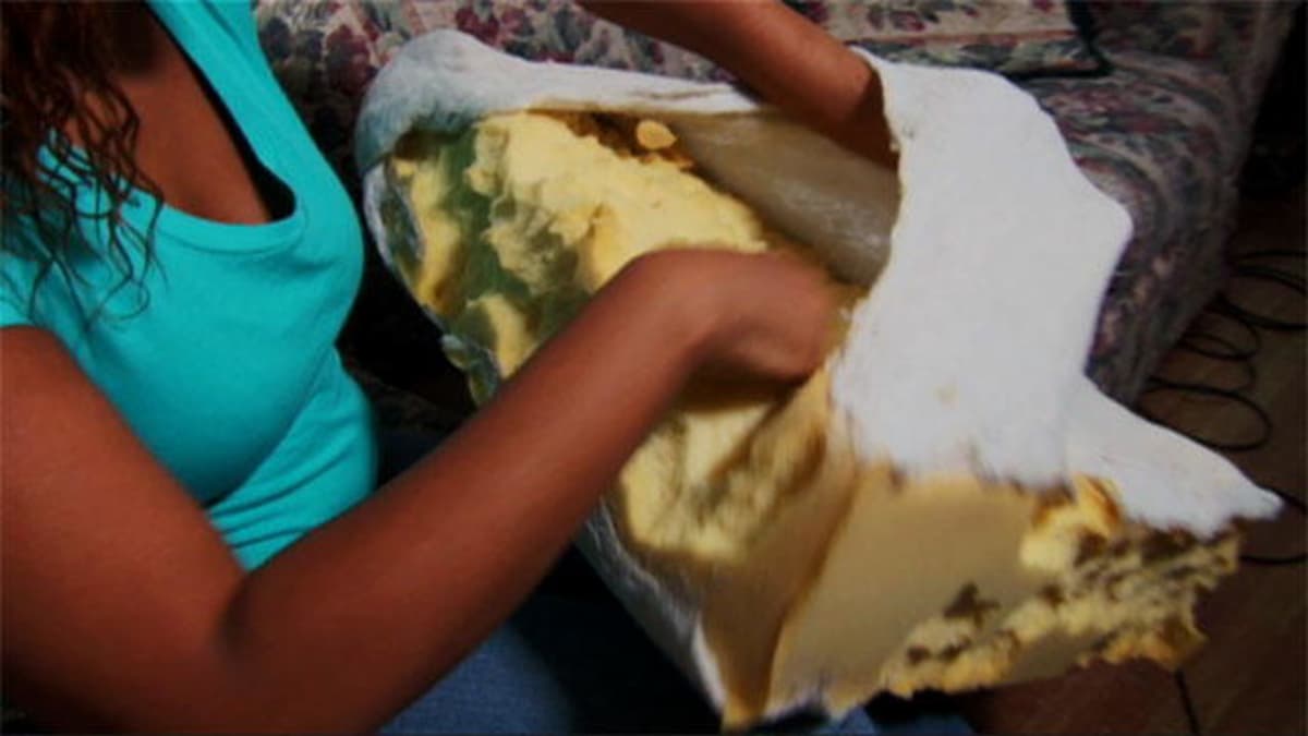 Couch Cushion Cravings My Strange Addiction Tlc