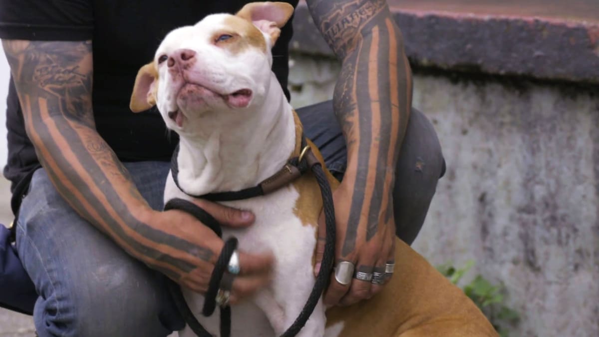 Redeemed Pit Bulls & Parolees