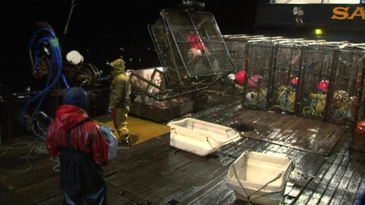 Crab Pot Goes Bye Bye Deadliest Catch Discovery