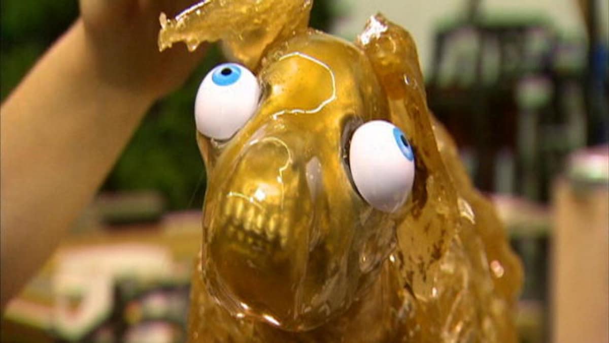 Zombie Dog Mythbusters Discovery