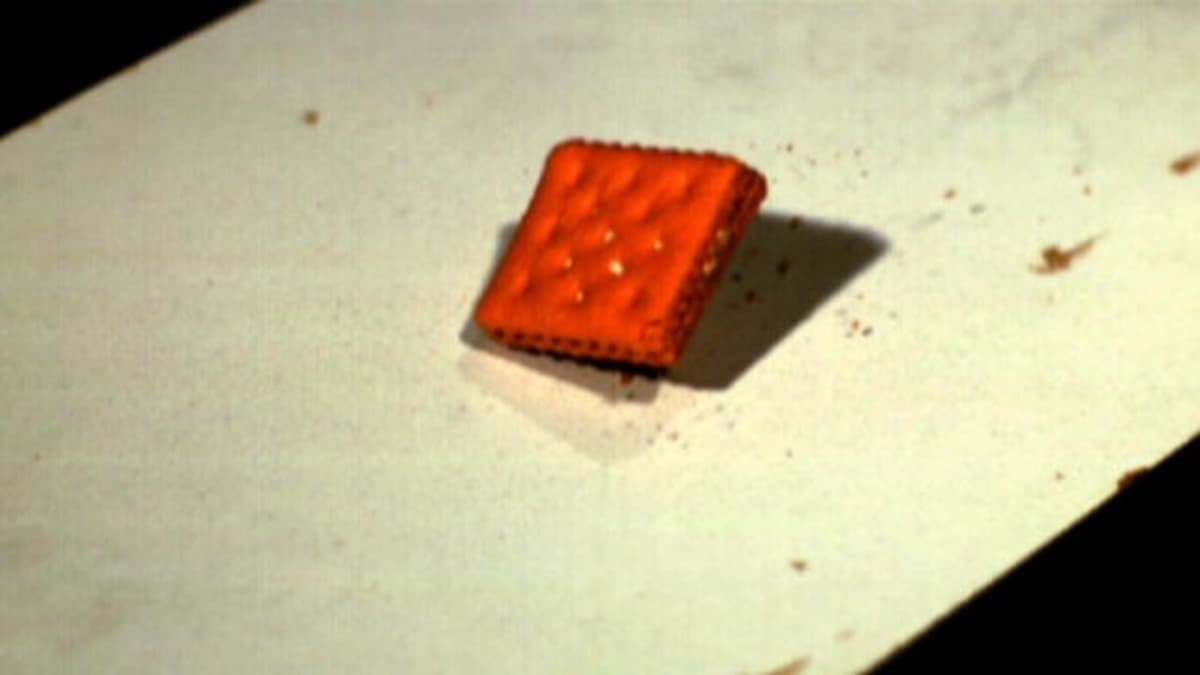 The FiveSecond Rule MiniMyth MythBusters Discovery