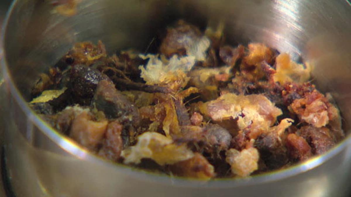 The Buster Awards Earwax Candle MythBusters Discovery