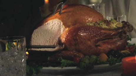 Zombie Special Mythbusters Discovery