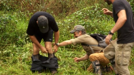 snake island discovery treasure quest bullet gold attack tv episodes shows ant cappy detector digging unfortunately crawling receiving begins surprise