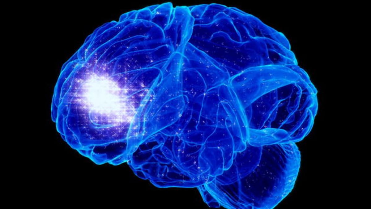 Brain 55. Светящийся мозг. Мозг светится. Визуализация мозга. Мозг облако.