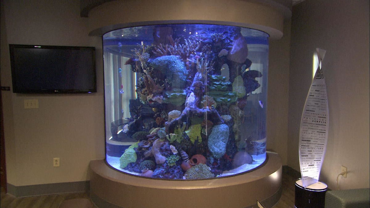 Aquarium Windows How It's Made Science