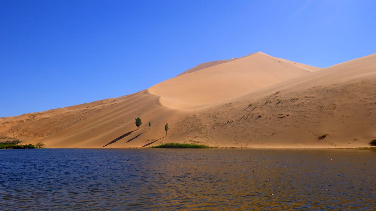 Why Are There Lakes In This Desert? What on Earth? Science