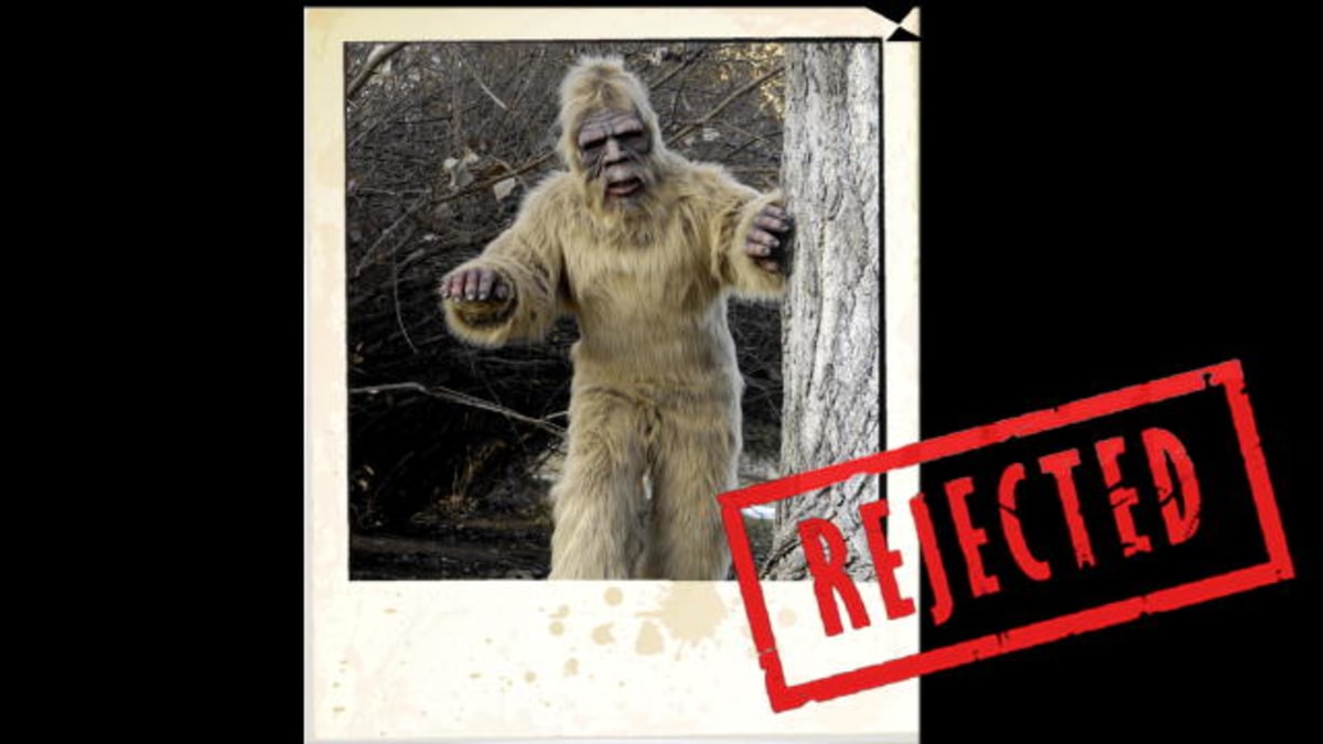 Photographic Proof? - Finding Bigfoot | Animal Planet