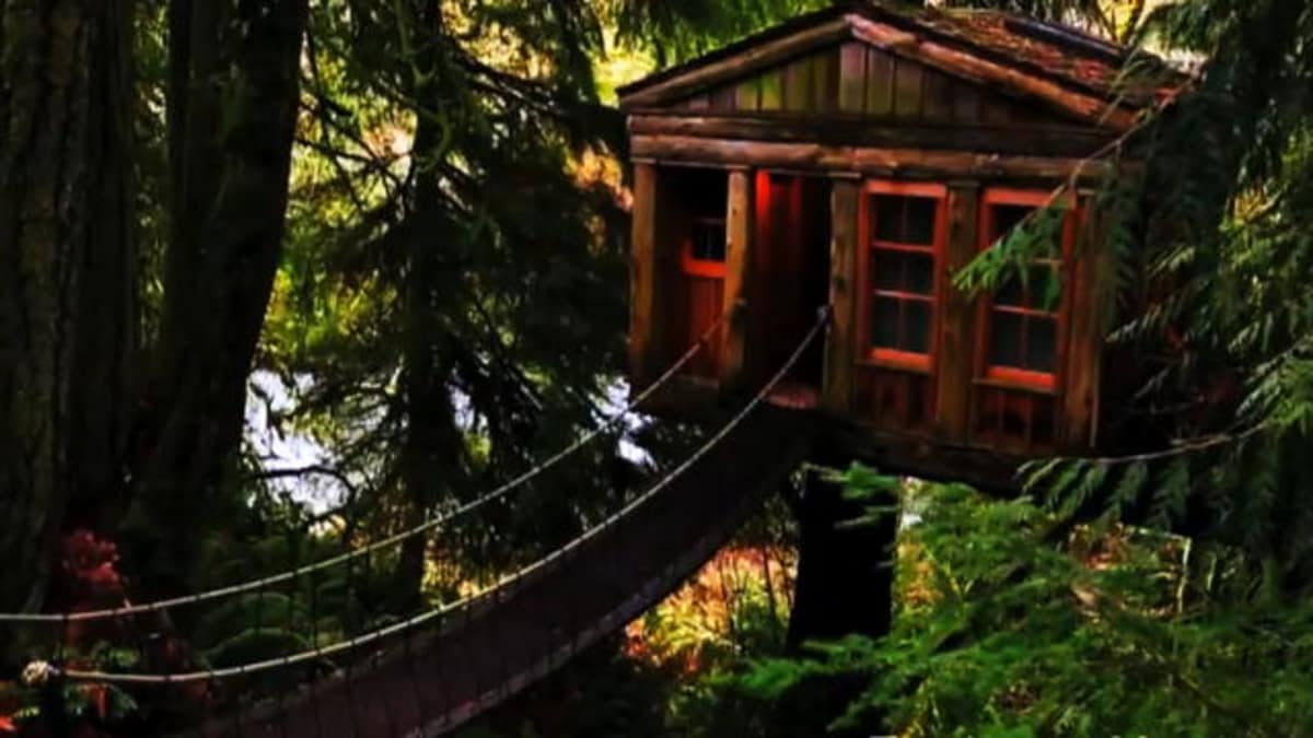 An AllNew Season of Treehouses! Treehouse Masters Animal