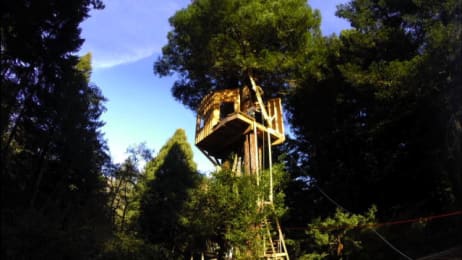 masters treehouse alex redwood retreat soared lapse heights sky build