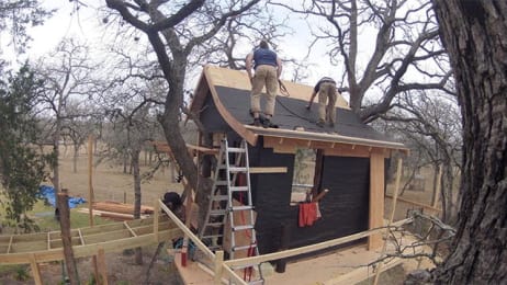 treehouse masters tree timelapse alex planet animal mesmerizing house