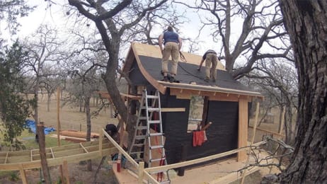 treehouse masters tree timelapse alex planet animal mesmerizing house