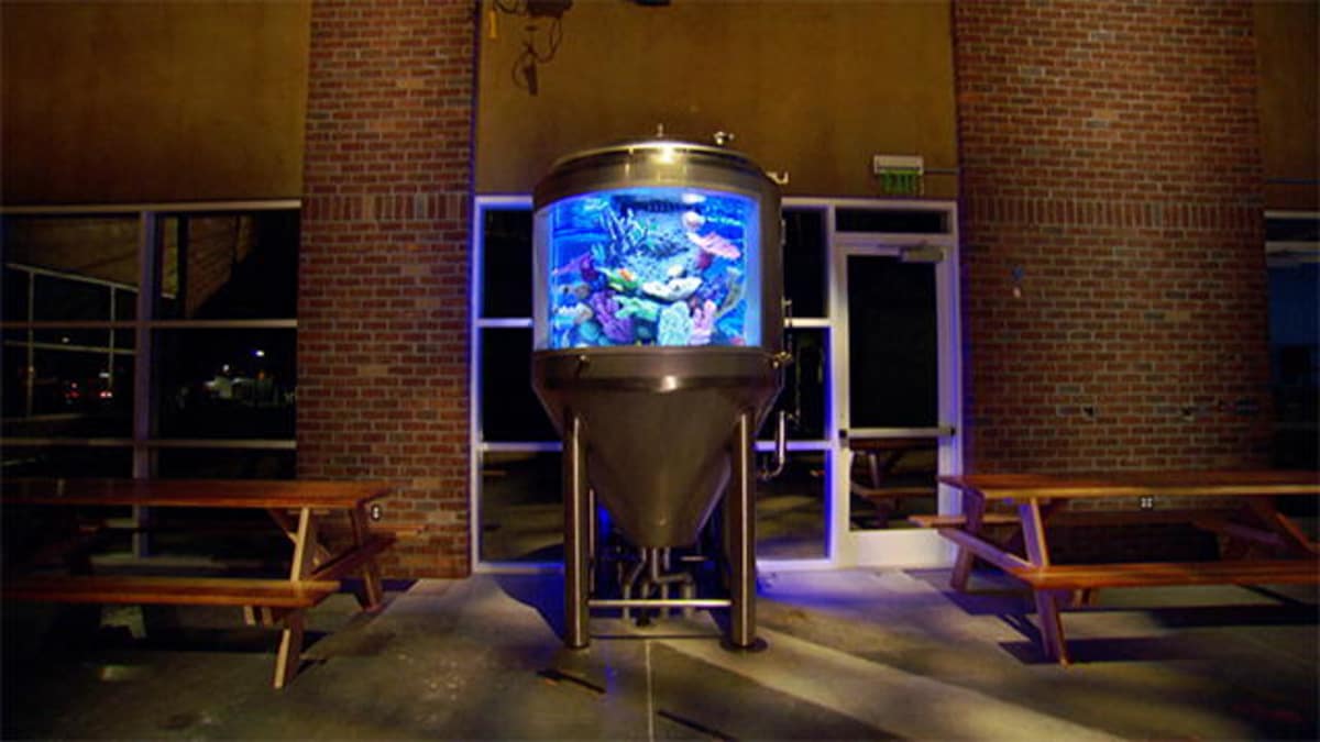 Reveal: Pizza Port Tank - Tanked | Animal Planet