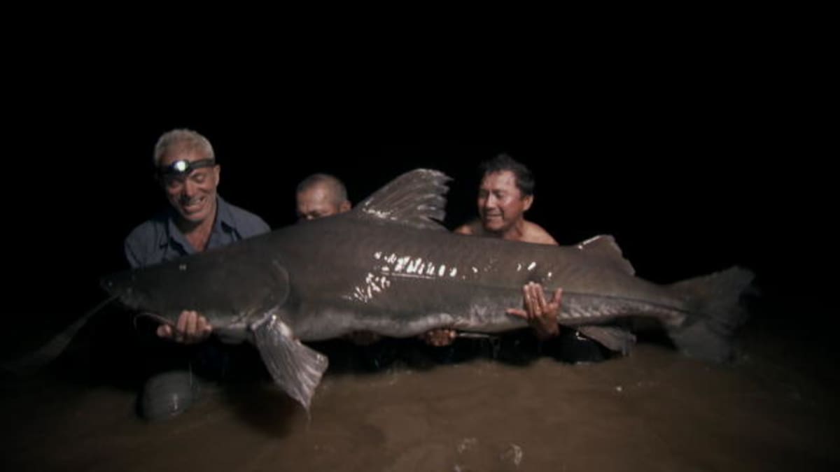 Catch of a Lifetime Reeling In a Piraiba Beast River Monsters