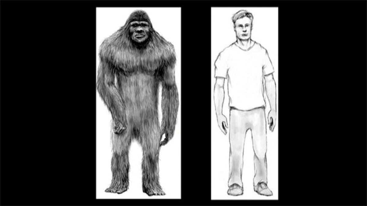 What Does Bigfoot Look Like Finding Bigfoot Animal Planet