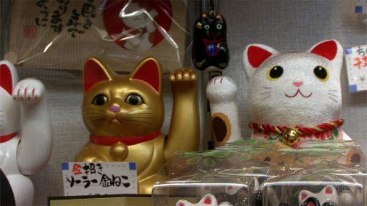 The Legend of Maneki Neko - Must Love Cats | Animal Planet