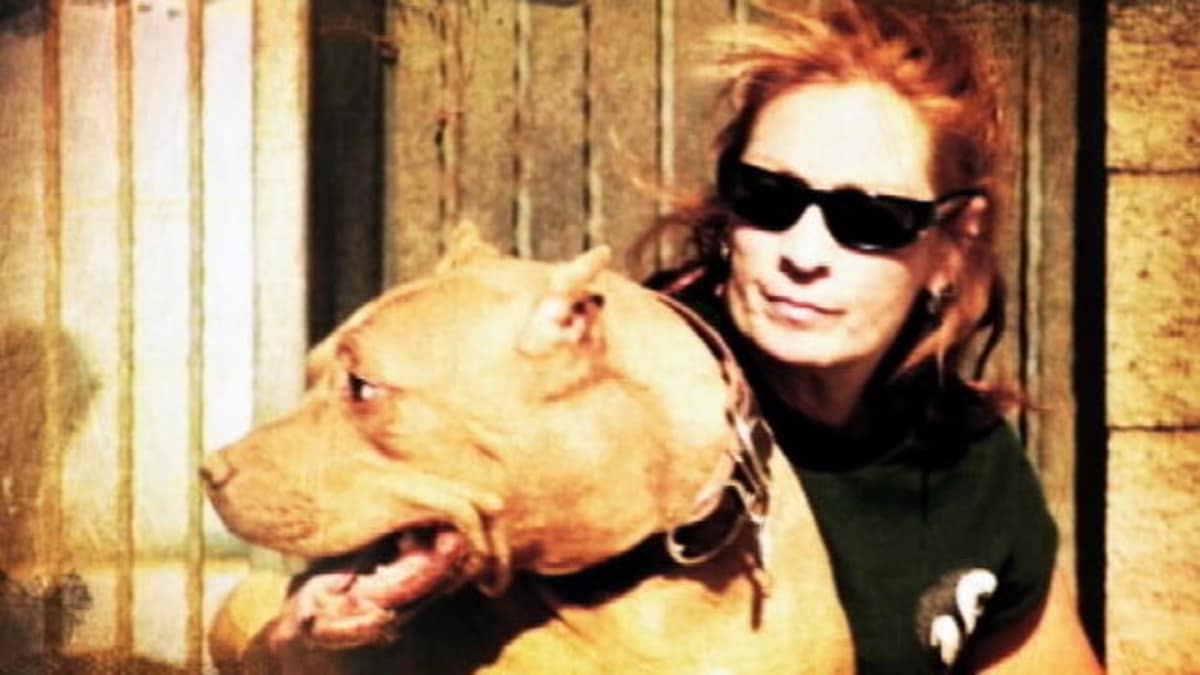 Meet Tia Maria Torres Pit Bulls & Parolees Animal