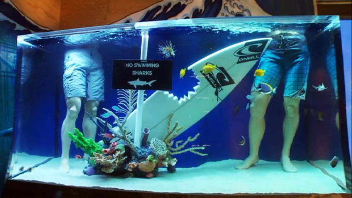 Reveal Skateboard Tank Tanked Animal