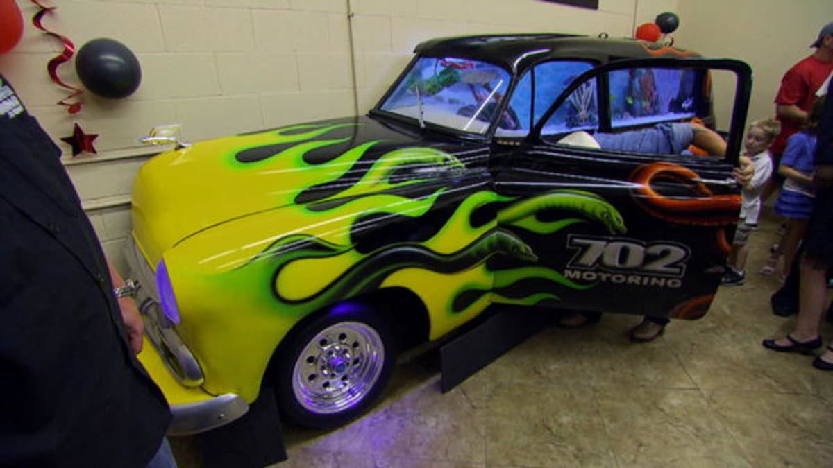 Most Challenging Tanks: Car Tank - Tanked | Animal Planet