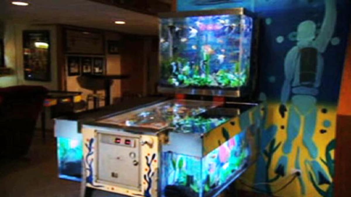 Reveal: Pinball Machine Tank - Tanked | Animal Planet