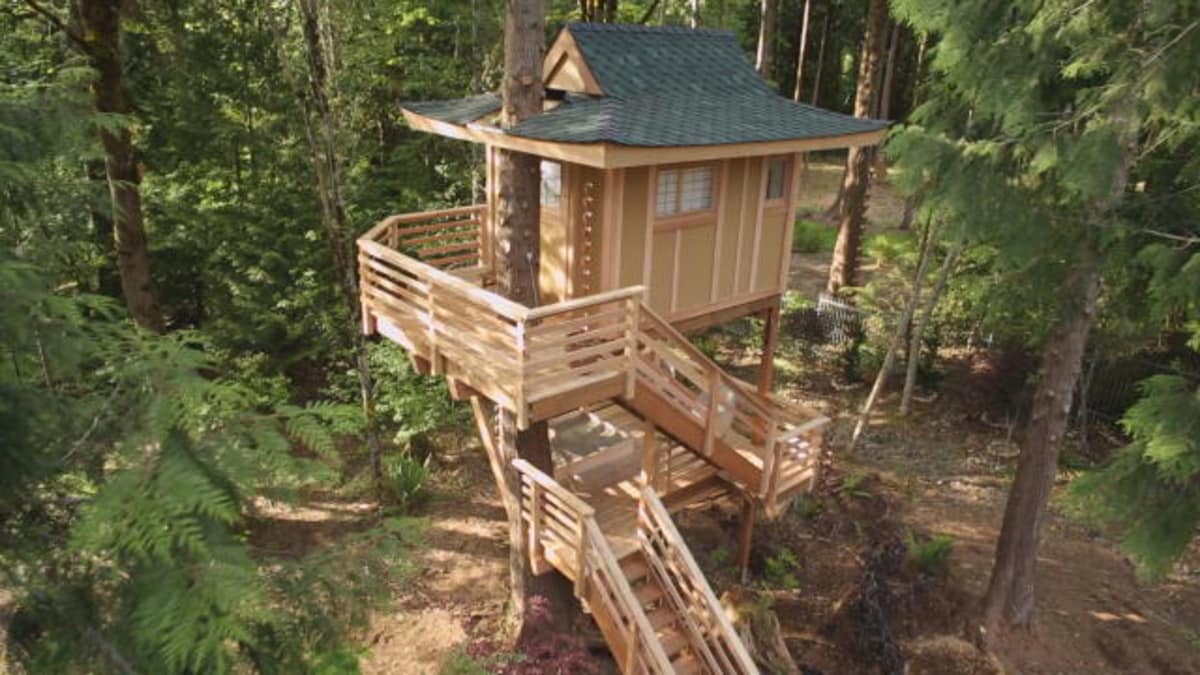 Time Lapse: Towering Treetop Teahouse - Treehouse Masters | Animal Planet