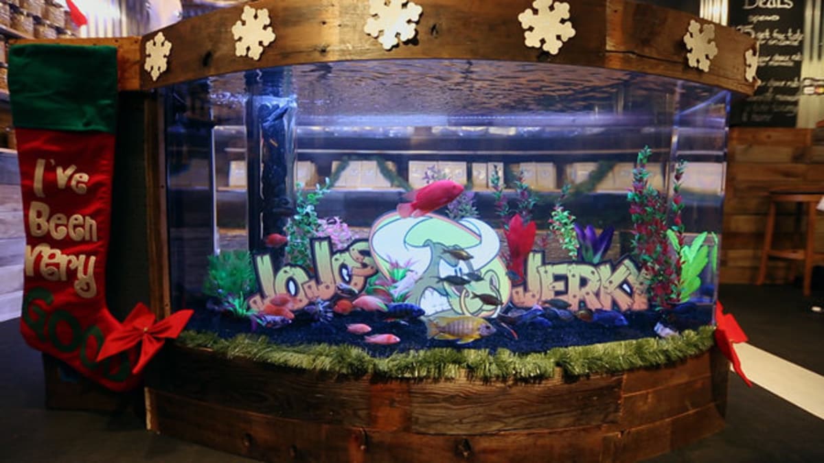 Reveal A Beautiful and Functional Tank for JoJo's Jerky Tanked