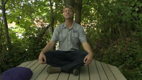 treehouse masters alex meditating maple scenes behind go