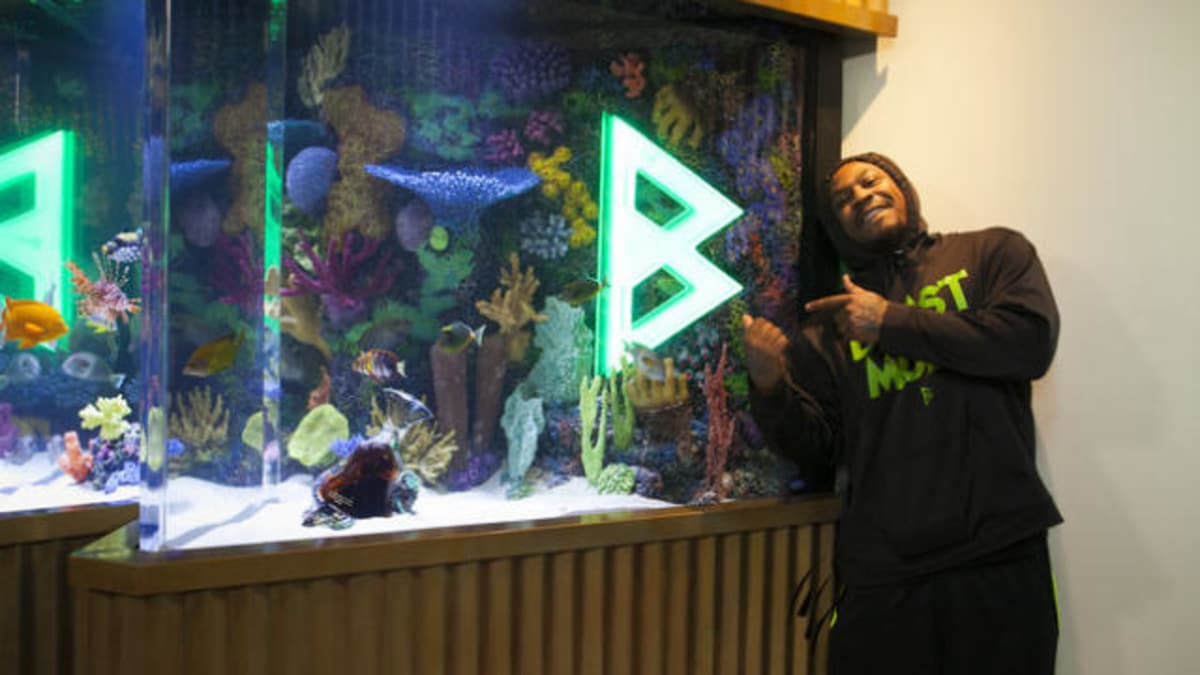 Marshawn Lynch's Beast Mode Tank - Tanked | Animal Planet