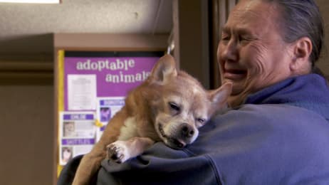 vet jeff rocky mountain dr his arms dog stops heart planet animal owner veterinarian revived but cast devastated act needs