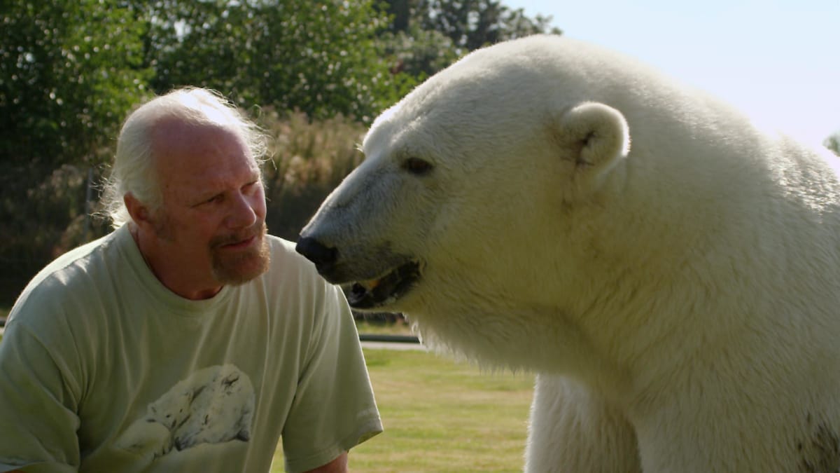 This Polar Bear Purrs When She Sees Her Human Dad - The Worldâ€™s Oddest