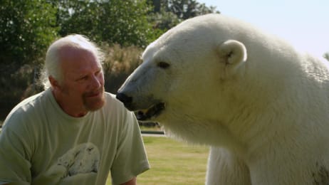 This Polar Bear Purrs When She Sees Her Human Dad - The World’s Oddest ...