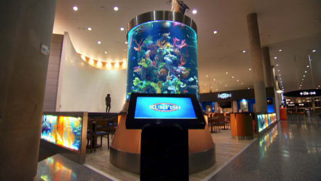 Reveal: Pete Rose's Riverfront-themed Tank - Tanked | Animal Planet