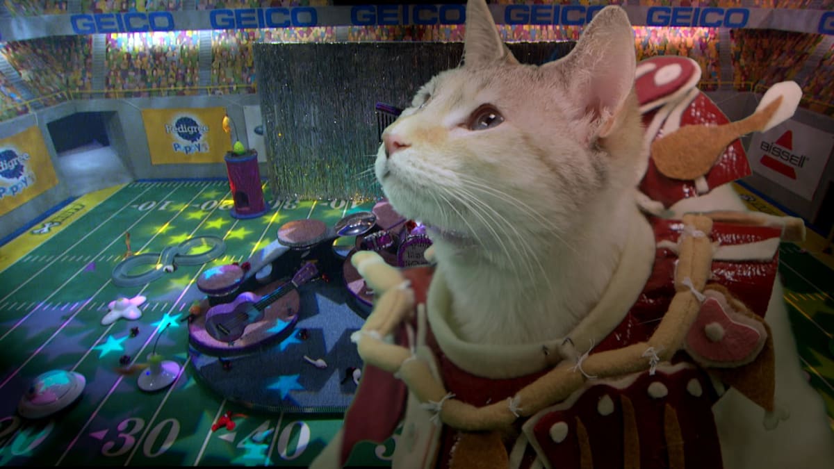 The Kitty Halftime Show Will Be the Cat's Meow Puppy Bowl Animal