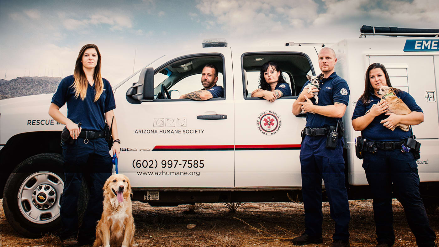Animal Cops Phoenix Watch Full Episodes & More! Animal