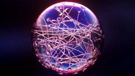 Through the Wormhole with Morgan Freeman | Watch Full Episodes & More! -  Science