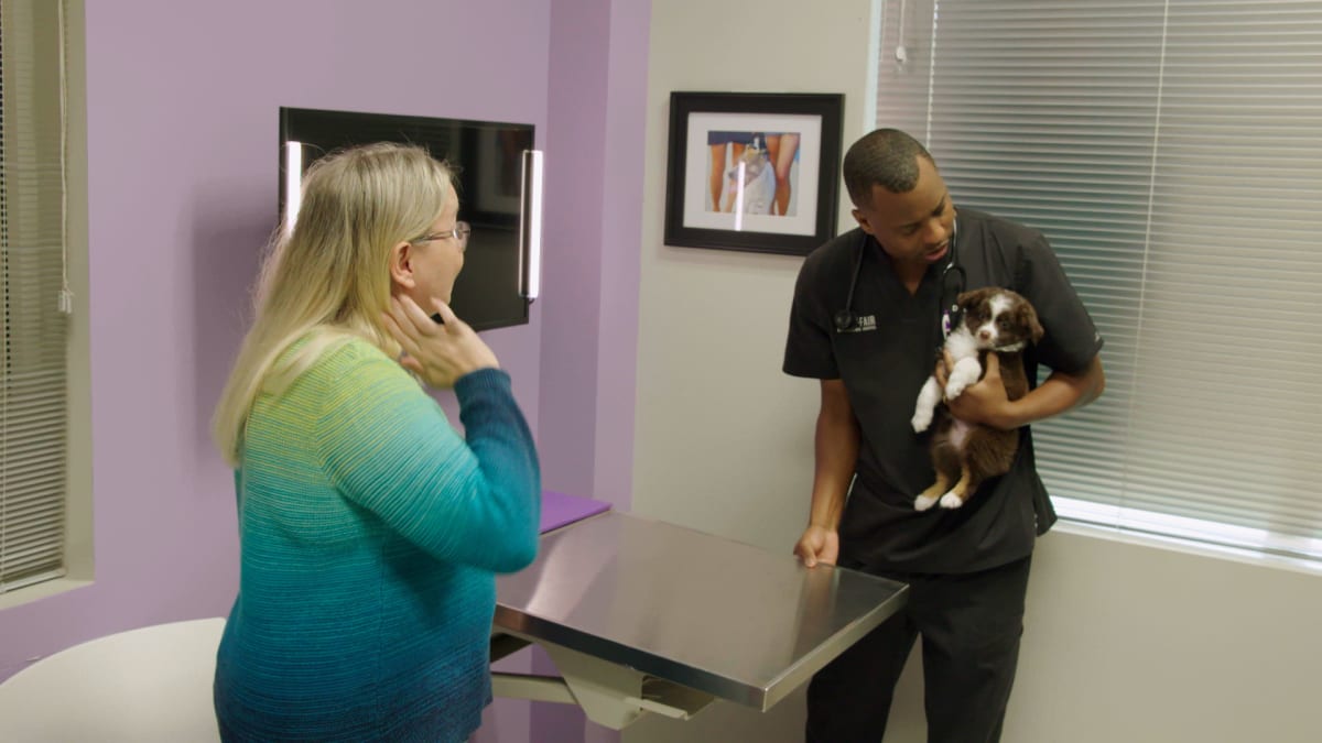 Puppy Exam - The Vet Life | Animal Planet