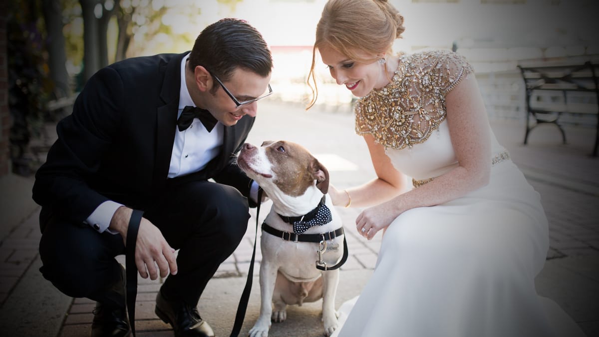 Mariah And Marcel Breakup Pitbulls And Parolees