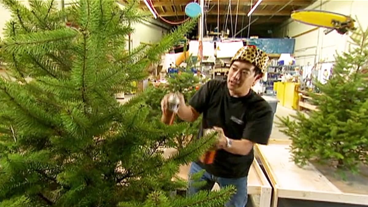 Holiday Special MythBusters Discovery