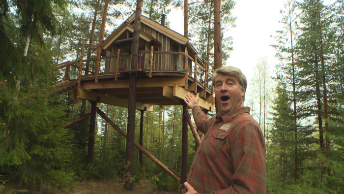 Treehouse Masters  Watch Full Episodes  More!  Animal Planet