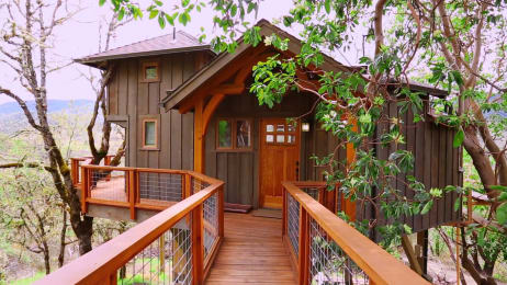 Luck O The Irish Cottage Treehouse Masters