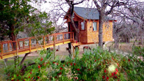 Luck O The Irish Cottage Treehouse Masters